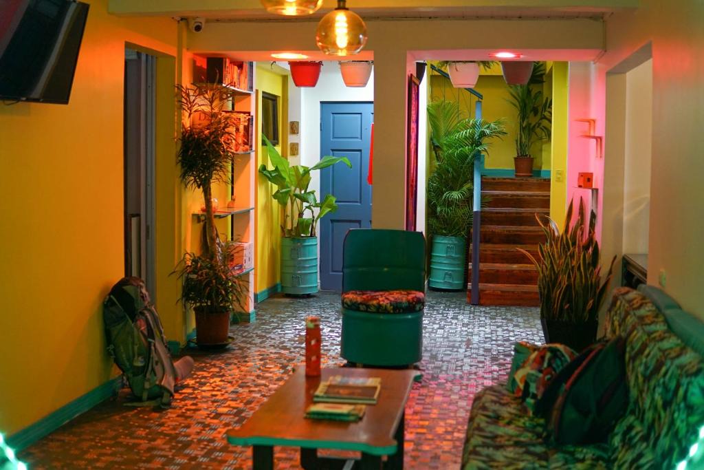 San Jose Hostel | NATIVUS Art-Hostel