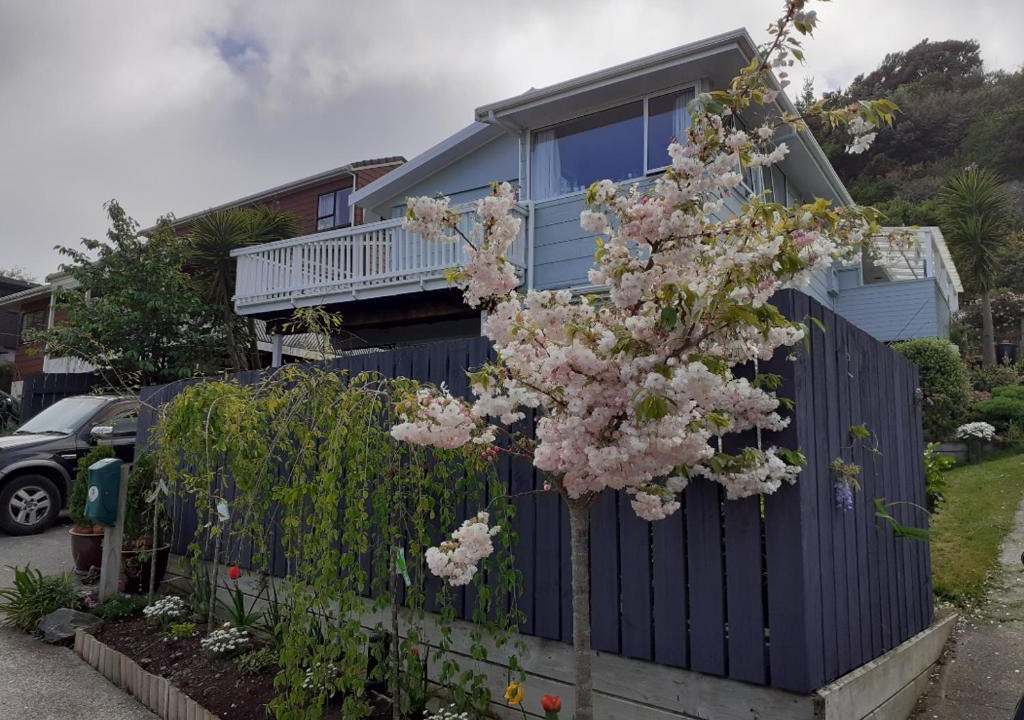 Porirua Apartment | New, Cosy & Private 1-Bedroom & Living Flat