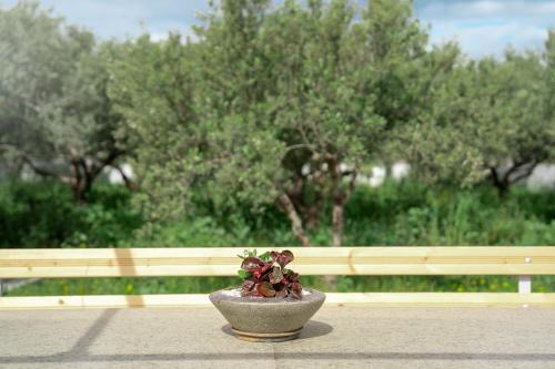 Piskokefalon House | Olive Bliss Retreat