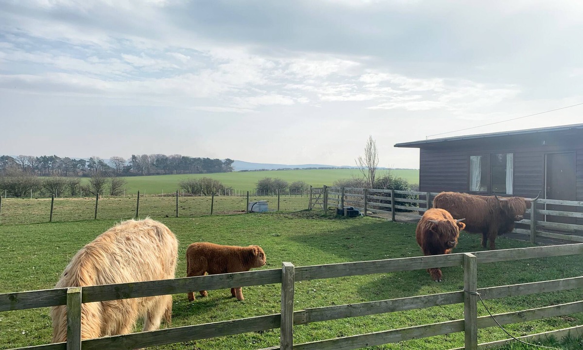 Haddington Cabin | Orchard House Lodges