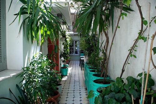 Pangrati Hostel | Pagration Youth Hostel
