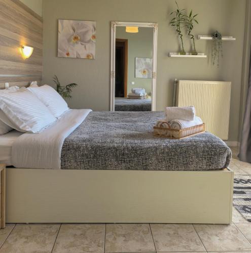 Paionia Hotel | Park Hotel Polykastro