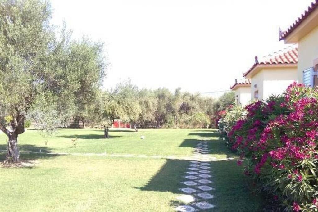 Kakovatos House | Phyllida Guest House - M2