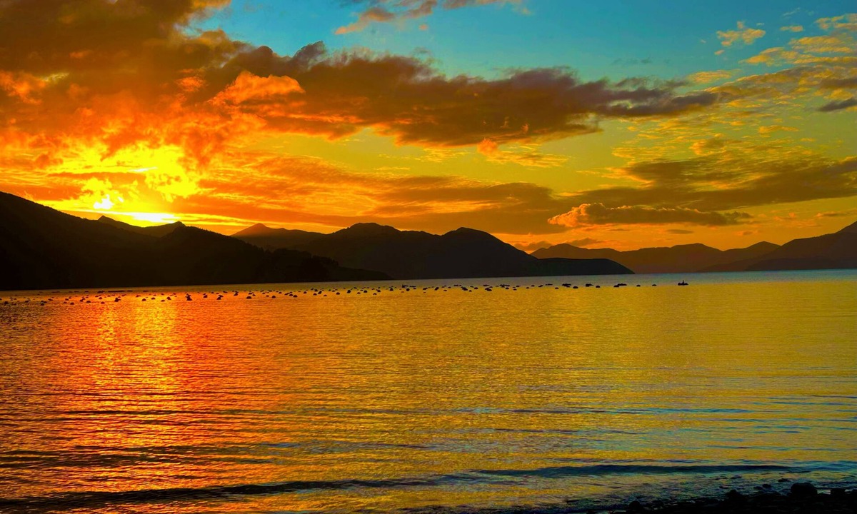 Saint Omer House | Remote Pelorus Sound Kiwi Bach on the Beach with Great Views