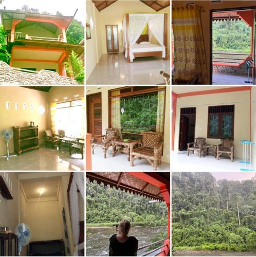 Bukit Lawang House | Ridho's Homestay & Jungle Trekking