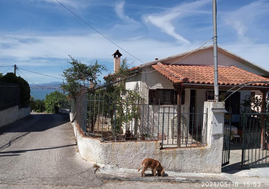 Tanagra House | Sea view Dilesi