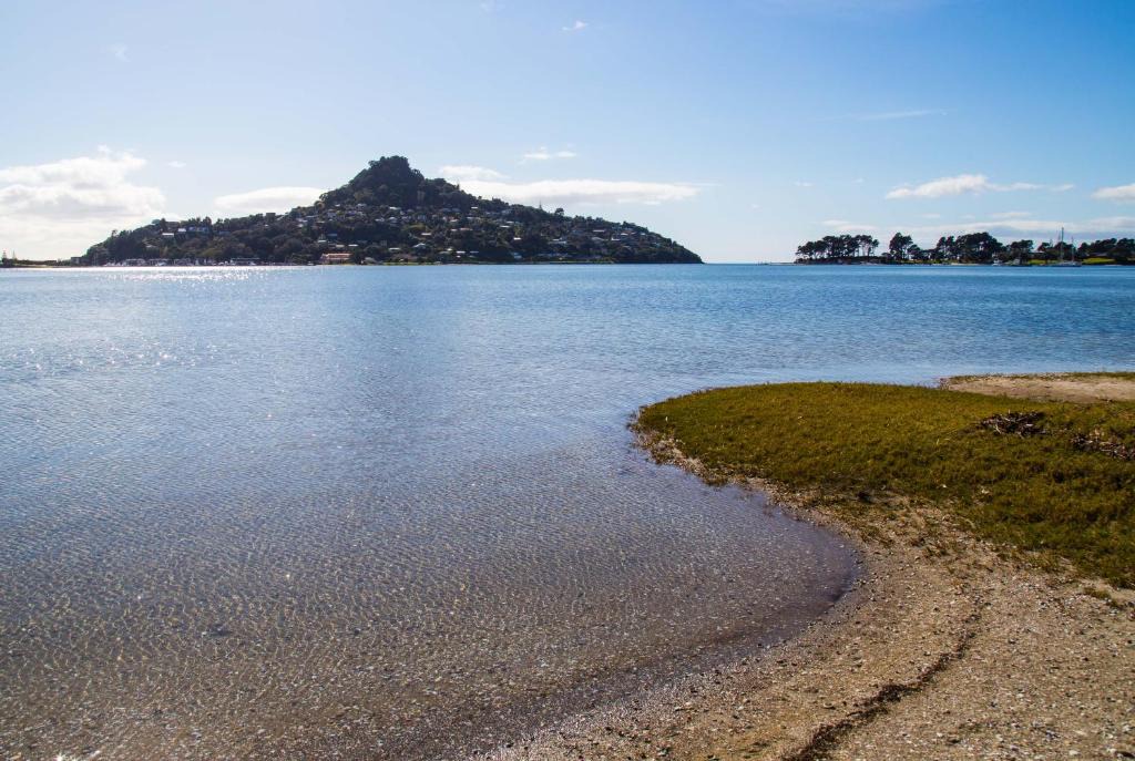 Tairua Bed & Breakfast | Seagrass Studio
