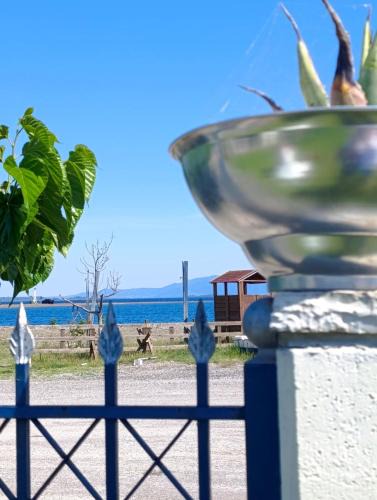 Stylida House | Silver SPOT Raches