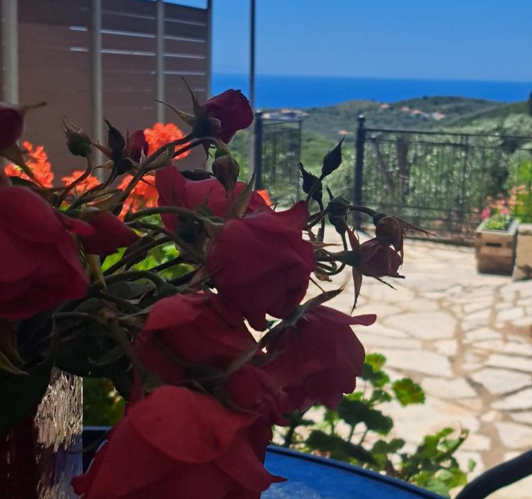 Agia House | Sogno 2