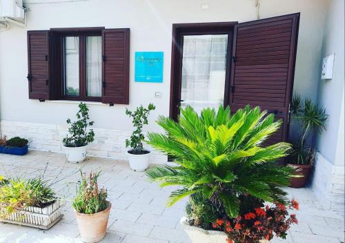 Comitini Bed & Breakfast | Sulfurea B&B *