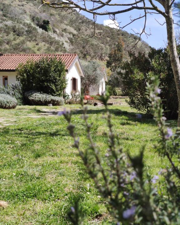Potenza House | Taverna Centomani