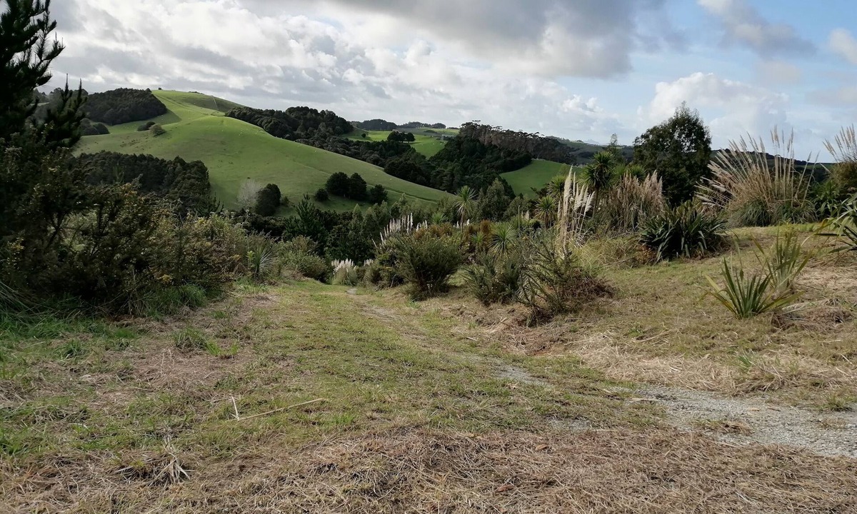 Te Arai Apartment | The cabins 2 with 50 acres of private bush