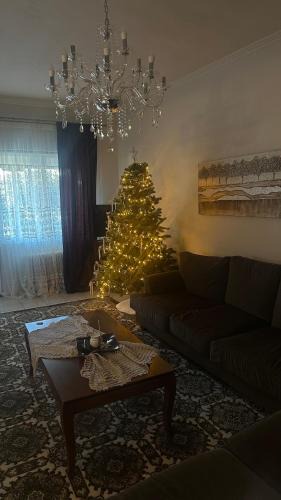 Trikala Apartment | The classic house
