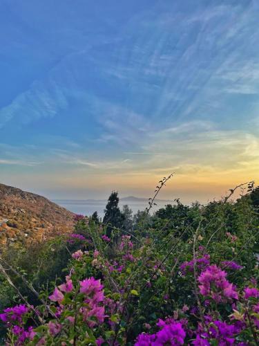 Andros House | "The Pomegranate House" - Tranquil Retreat