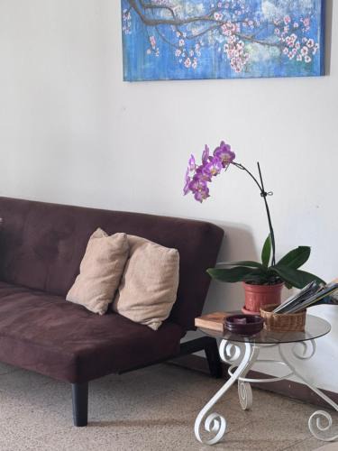 Mata Redonda Apartment | Tico Experience in a Family-Friendly Neighborhood