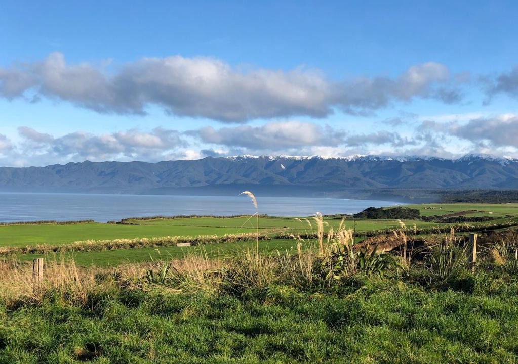 Papatotara Bed & Breakfast | ToiToi Papatotara BnB