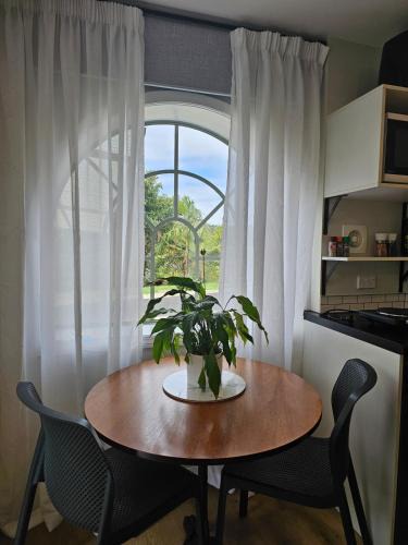 Avondale Apartment | Urban Studio Oasis