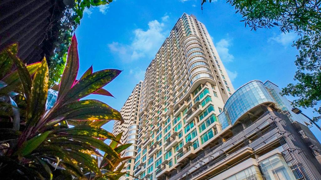 Treepark City | Cikokol