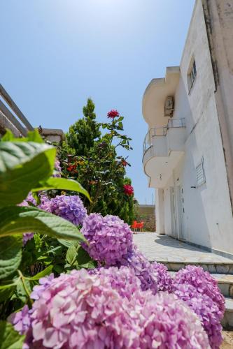 Ksamil Apartment | Vila Leka