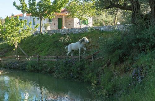 Lampini House | Villa Elia