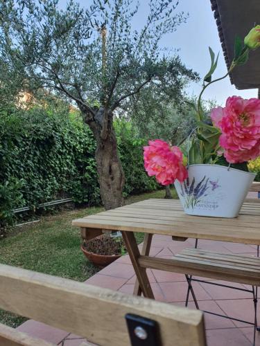 Mascalucia Apartment | Villa Martina