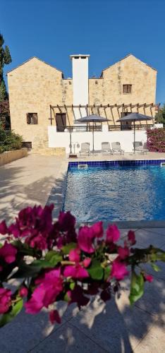 Douliana Villa | Villa Penelope Luxury Retreat with Pool & Timeless Charm