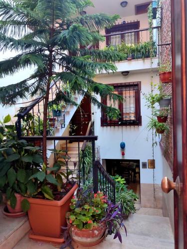 Sultanahmet Hotel | Villa Sphendone Suites Istanbul