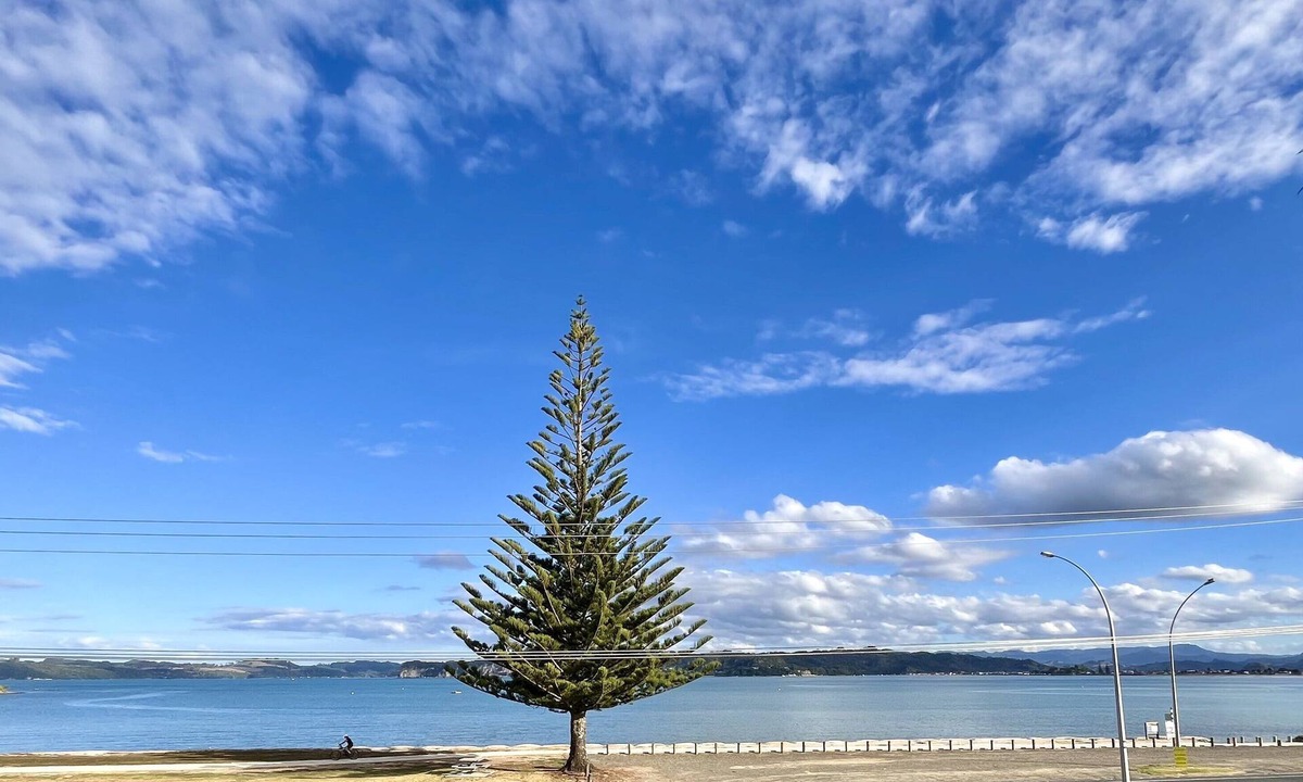 Whitianga Apartment | Whitigetaway Sanctuary Soleil