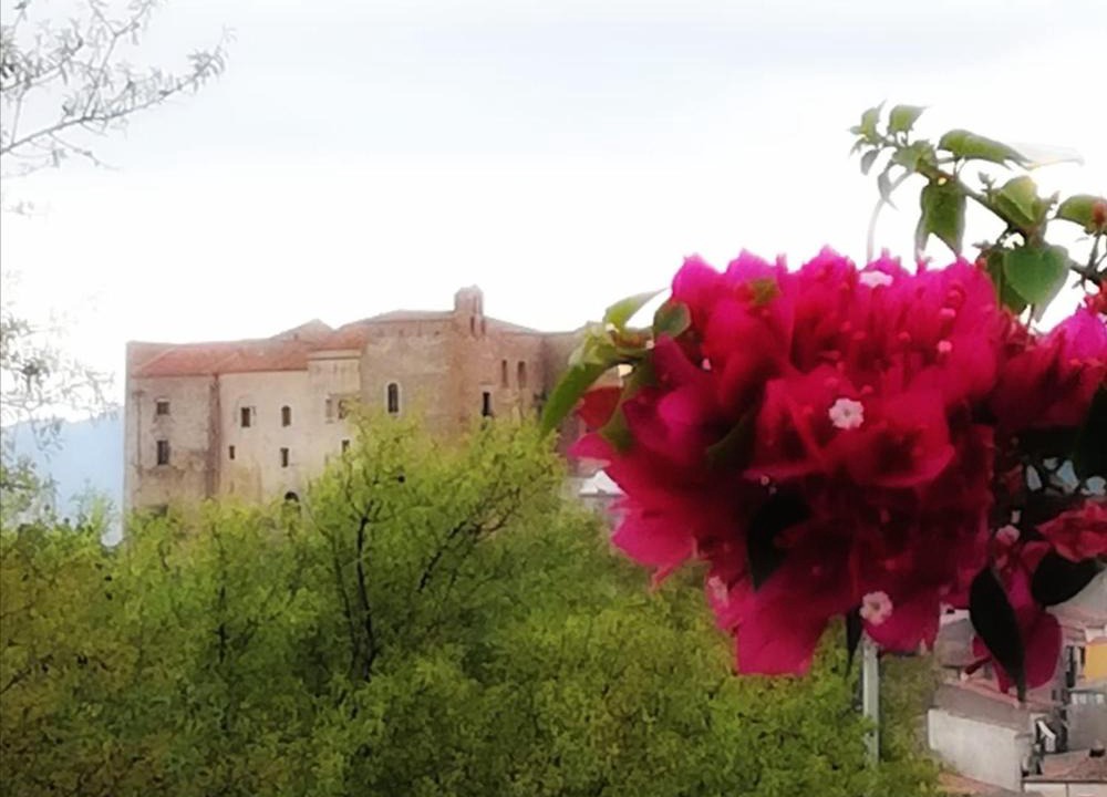 Castelbuono House | Ypsibloom