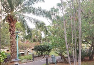 5 Acres Tropical garden in Kemang Raya Residence whole 3/2 Apart 2nd fl. Balcony