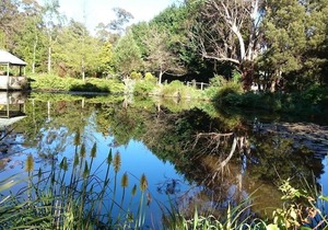 Altona Garden Retreat
