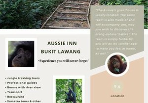 Aussie Inn Bukit Lawang