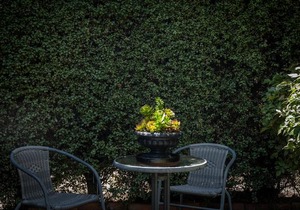 Battery Point Boutique Accommodation