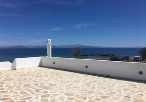 Blue Island Suite