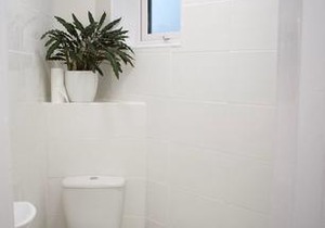 Bright Comfortable Studio Apt. in Leith