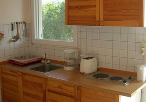 Calm located, amid an olive grove, close to the beach, wifi | holiday house Ilia