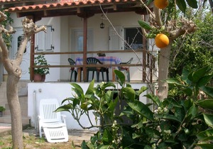 Calm located, amid an olive grove, close to the beach, wifi | holiday house Ilia
