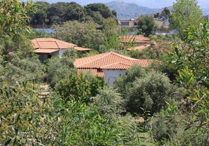 Calm located, amid an olive grove, close to the beach, wifi | holiday house Ilia