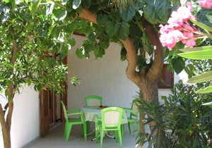 Calm located, amid an olive grove, close to the beach, wifi | holiday house Ilia