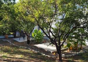 Calm located, amid an olive grove, close to the beach, wifi | holiday house Ilia