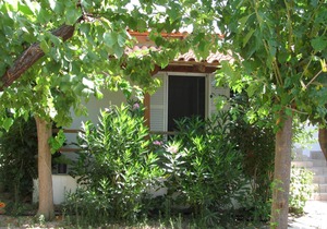 Calm located, amid an olive grove, close to the beach, wifi | holiday house Ilia