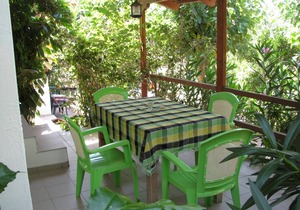 Calm located, amid an olive grove, close to the beach, wifi | holiday house Ilia