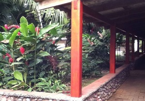 Casitas Joanna Condo 4