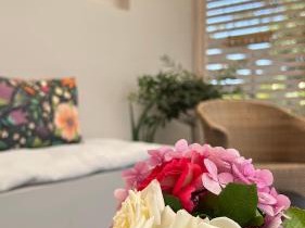 Elsa home