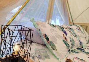 Glamping at Zeehan Bush Camp