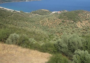 House SOFIA - Quiet house with a large garden for a relaxing holiday