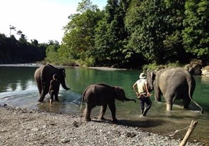 Indra Valley Inn Bukit Lawang
