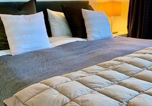 Kohimarama Guest Suite