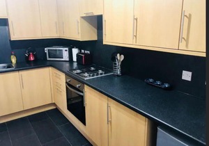 Lovely Leafy Edinburgh Apartment with Free Parking