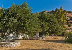 Olive Studios Karpathos Studio #2